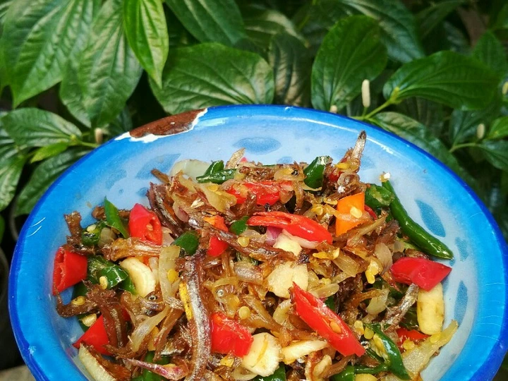 Cara Gampang Menyiapkan Resep Tumis Teri Cabe Ijo yang Lezat Sekali Anti Ribet, Mantap Sekali