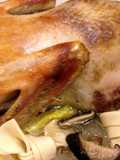 Duck Soup
