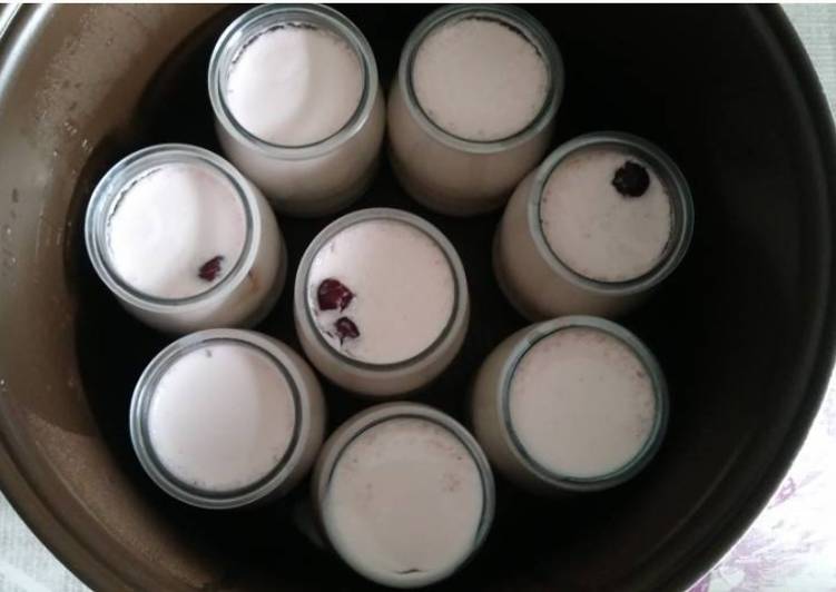 Yogur natural con arándanos en yogurtera