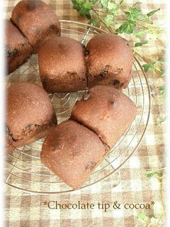 A picture of Chocolate Chip and Cocoa Bread Made in a Bread Maker.