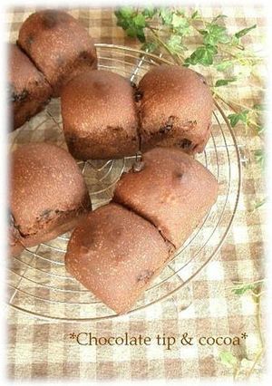 A picture of Chocolate Chip and Cocoa Bread Made in a Bread Maker.