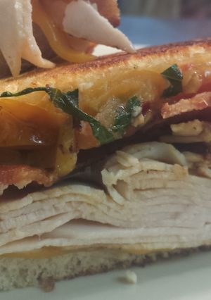 A picture of Bacon turkey melt.