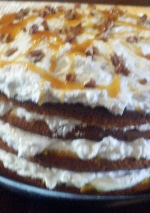 A picture of Pumpkin Torte.