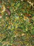 Rich vegetable soup
