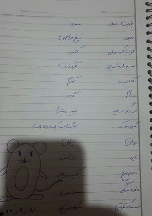 عکسی از دستور حذف اقلام غیر ضروری🐀