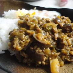A picture of Eggplant and Bell Pepper Keema Curry.