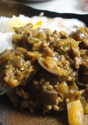 A picture of Eggplant and Bell Pepper Keema Curry.
