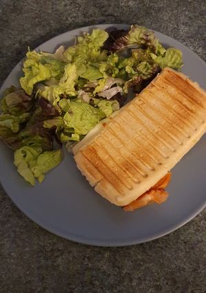 Une photo de Panini au saumon fumé