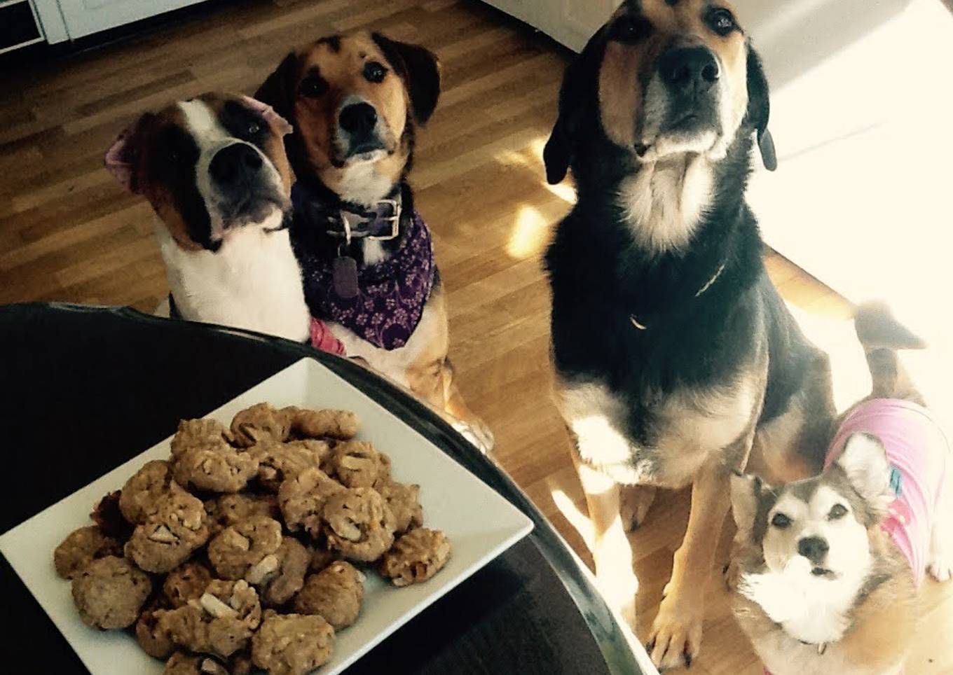 Healthy Apple/Peanut Butter Dog Treats!