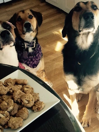 Recipe Healthy Apple/Peanut Butter Dog Treats! the Awesome  Appealing