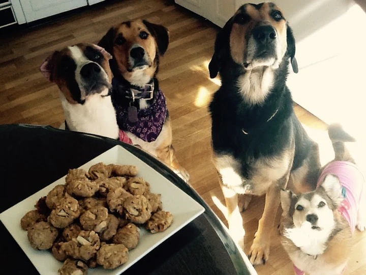 Recipe Healthy Apple/Peanut Butter Dog Treats! the Awesome  Appealing