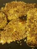 Skillet Fried Fish