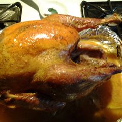 Weekend Roast Turkey (no fuss) A picture of Weekend Roast Turkey (no fuss).