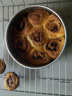 A picture of cinnamon buns.