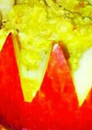 A picture of Apple rabdi.