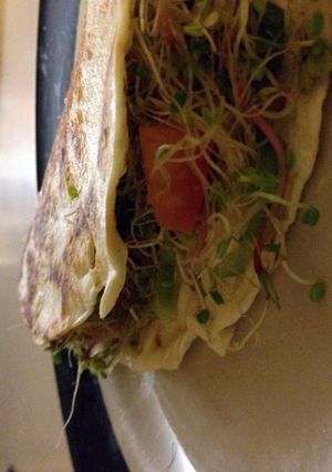 A picture of Sproutsy Quesadilla.