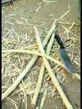How to Make Brown Sugar from Sugarcane at Home
