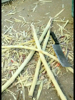 A picture of How to Make Brown Sugar from Sugarcane at Home.