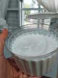 Mayonesa casera de leche (Alioli)