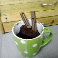 A picture of Nutella mug cake.