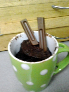 A picture of Nutella mug cake.