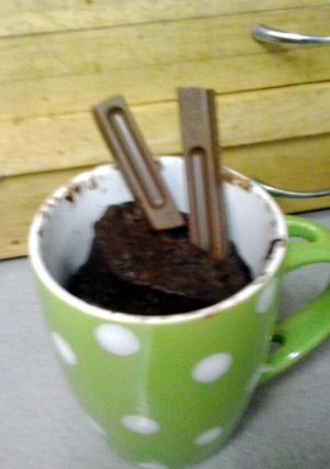 A picture of Nutella mug cake.