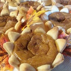 A picture of " Mini Pumpkin Pies ".