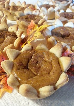 A picture of " Mini Pumpkin Pies ".