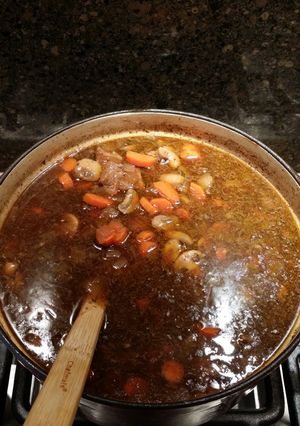 A picture of Guinness Stew.