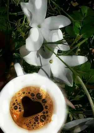 صورة لوصفة قهوة 😍😋