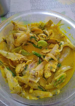 A picture of Fish.