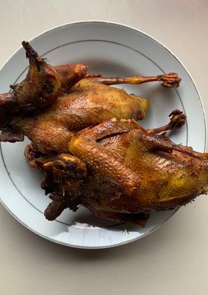 Foto resep Burung dara / merpati goreng