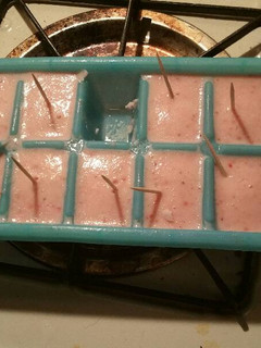 A picture of Frozen smoothie pops.
