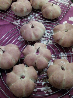 A picture of Bean Paste Buns for Cherry Blossom Viewing.