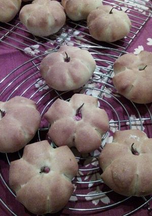 A picture of Bean Paste Buns for Cherry Blossom Viewing.