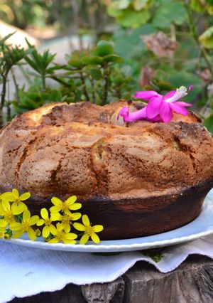 Una foto de Budín tricolor de naranja, dulce de leche y cacao🧉