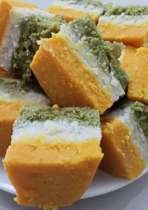 A picture of Tricolor dhokla.