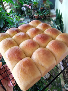 Foto resep Palm Sugar Milk Bread (Roti Kasur)