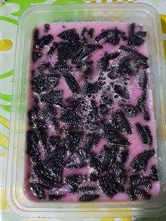 Foto resep Puding oreo