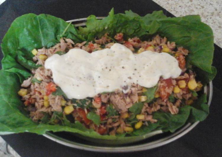 My  Summer  Tuna  π π