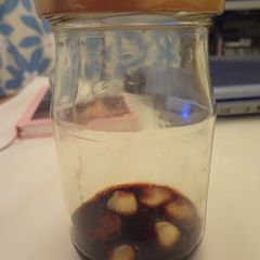A picture of Garlic Soy Sauce.