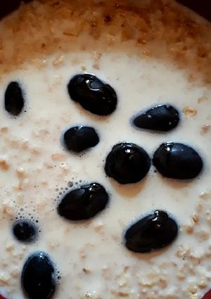 Szőlős - mézes zabkása recept fotója