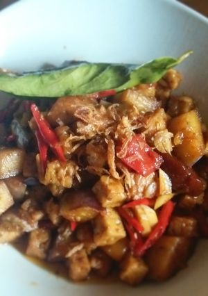 Foto resep Tempe Terong Bumbu Kecap