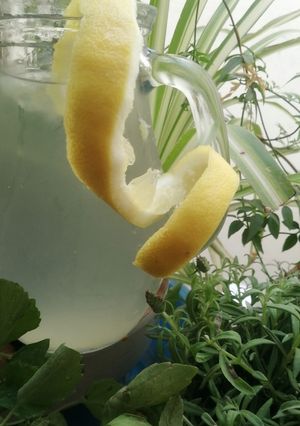 Une photo de Sirop citron miel camomille 🍯