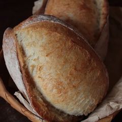 A picture of Homemade Yeast French Bread (Using Straight Starter).