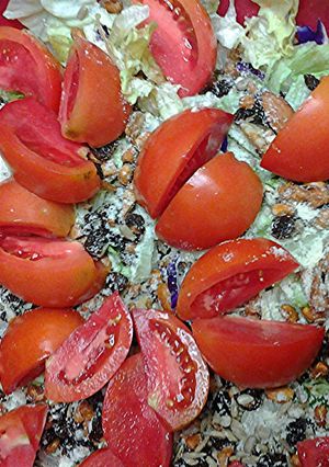 A picture of Salad.