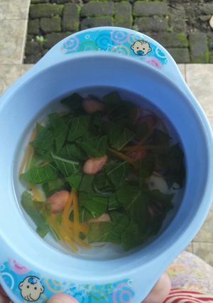 Foto resep Sayur bayam kacang merah mpasi 1th +