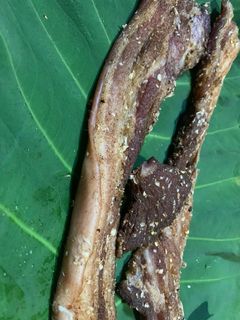 Hình của món Ba chỉ heo một nắng.
