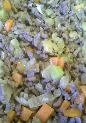 A picture of Three Way Minced Beef with mirepoix..