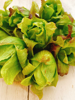 A picture of How to Prepare Butterbur Sprouts & Tempura.